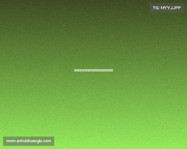 佩杜拉：邦多无意租借加盟克雷莫内塞仍在寻求其他机会