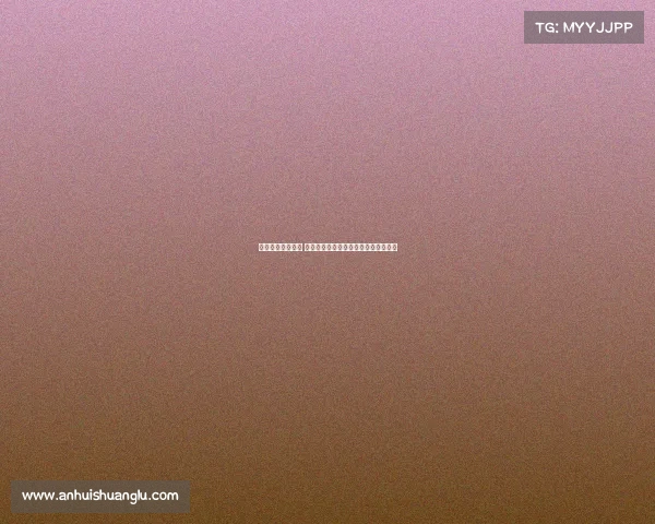 法甲中场新星崛起 聚焦顶级赛事背后不容忽视的战术核心