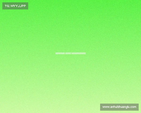 山东与新鹏城对决 五外援先发 高准翼刘洋安永佳出战争锋