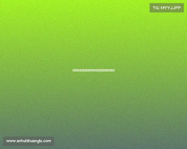 法甲国际球星的传奇风采与足球魅力：跨越国界的激情与荣耀