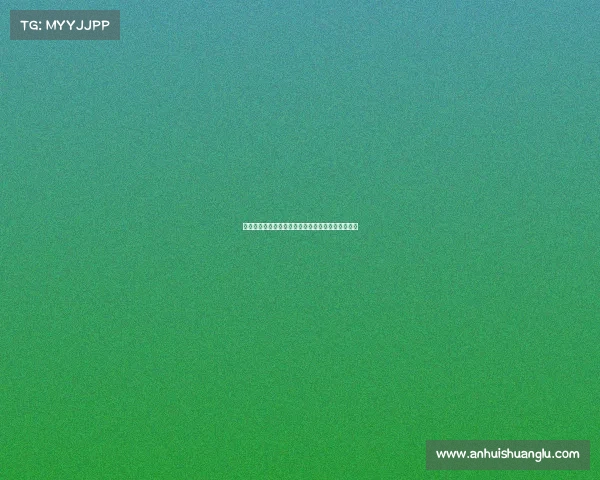 美洲杯历史回顾与展望：荣耀与挑战交织的足球盛宴