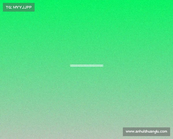 荷兰足球基金会助力退役球员成功转型与再就业探索