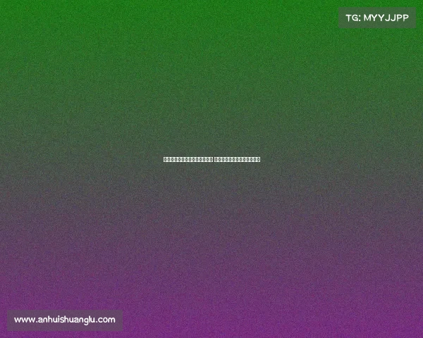 费迪南德赞姆伯莫态度严谨敬业 相信他能为曼联带来积极影响